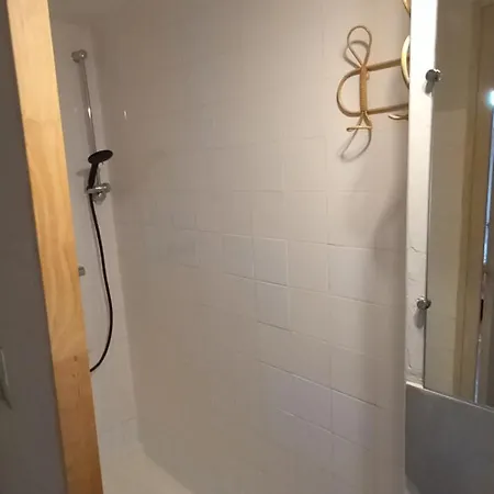 Les Cèdres Bleus De Joany