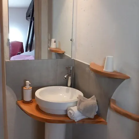 Les Cedres Bleus De Joany * Viviez